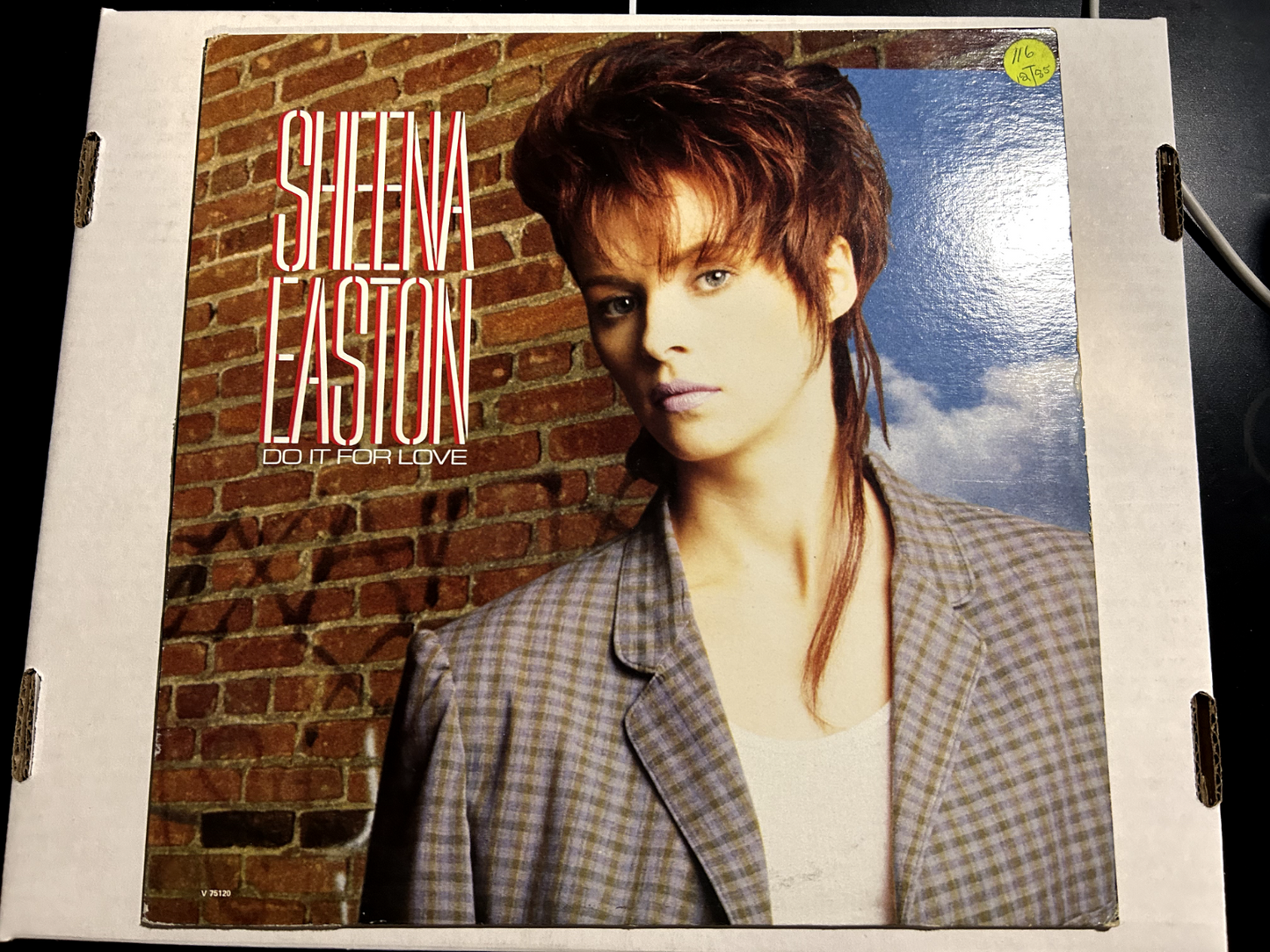 Sheena Easton – Do It For Love