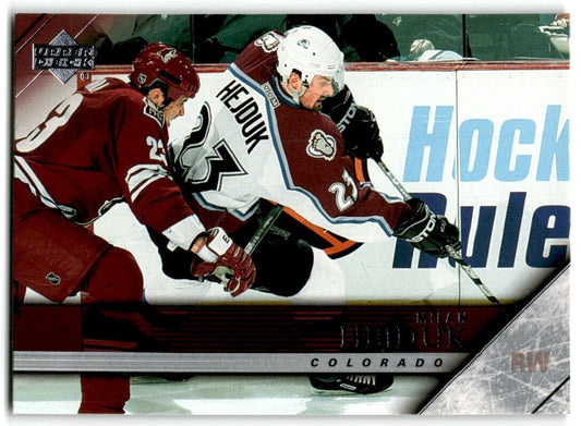 2005-06 Upper Deck Milan Hejduk Colorado Avalanche #292