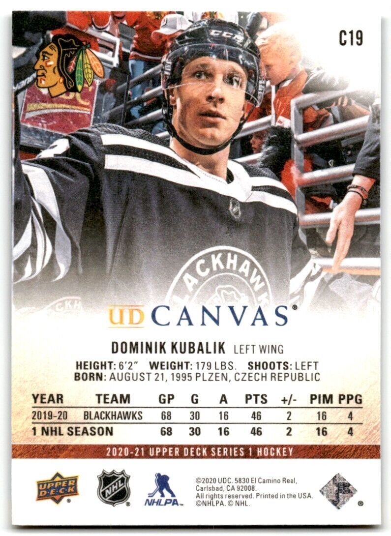 2020-21 Upper Deck UD Canvas Dominik Kubalik Chicago Blackhawks #C19