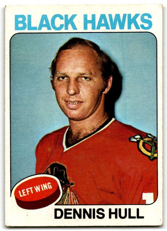 1975-76 Topps Dennis Hull Chicago Blackhawks #254