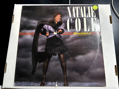 Natalie Cole – Dangerous (Extended Dance Remix)