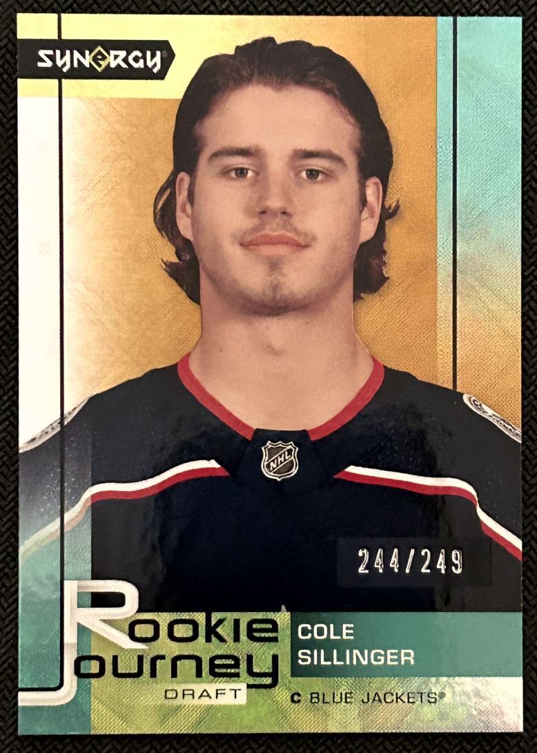 2021-22 Upper Deck Synergy Rookie Journey Draft Gold Cole Sillinger 244/249