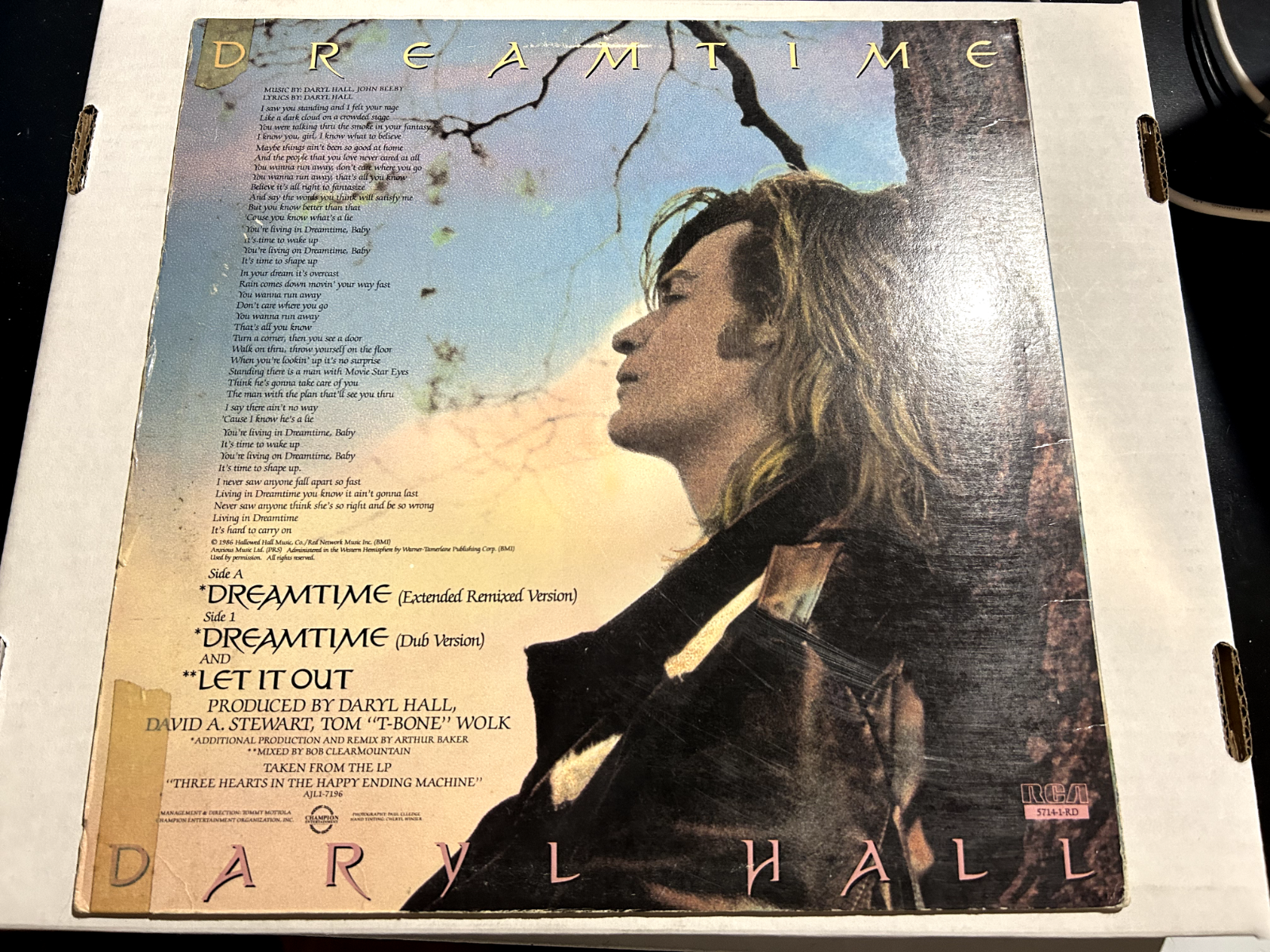 Daryl Hall – Dreamtime