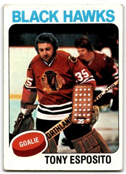 1975-76 Topps Tony Esposito Chicago Blackhawks #240